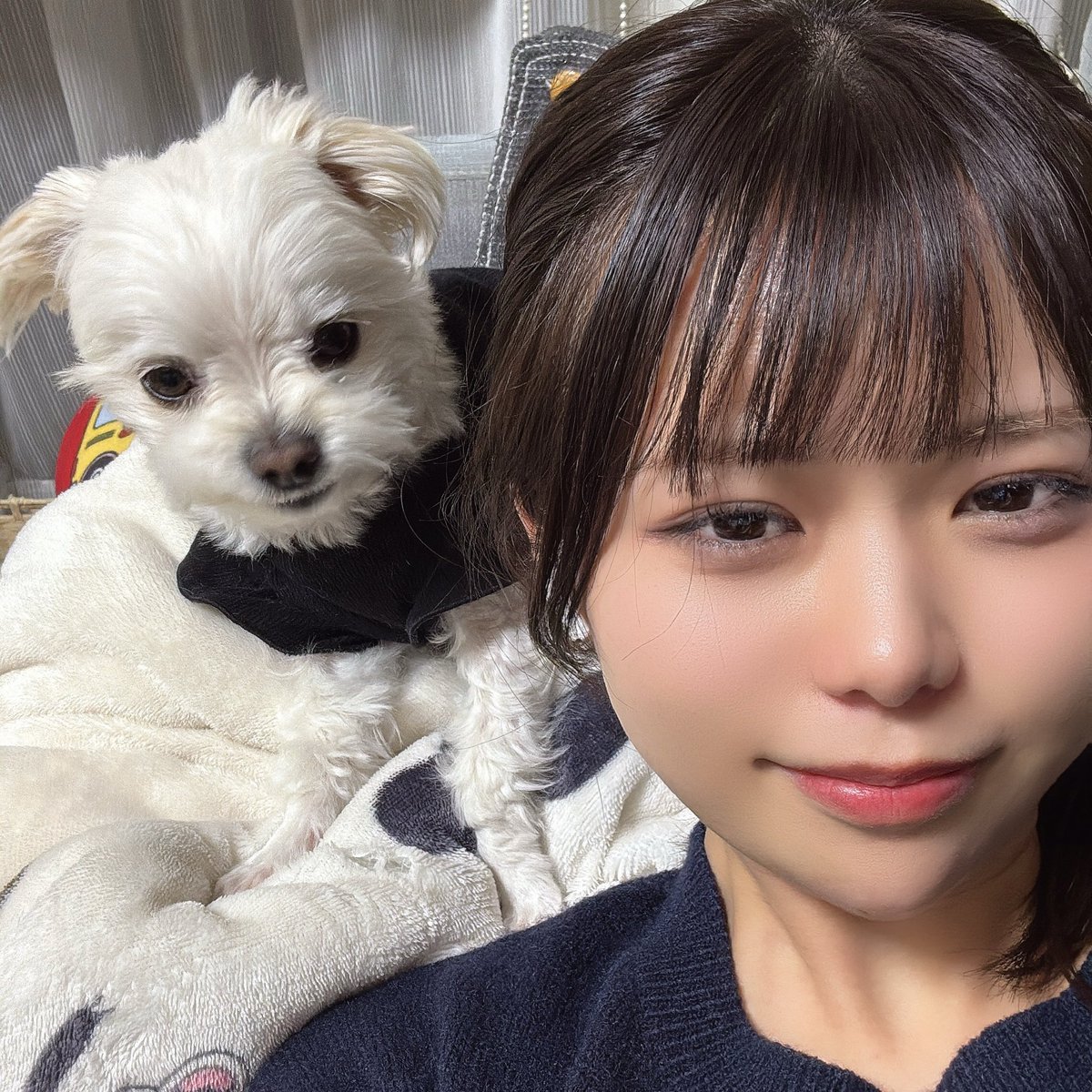 御坂こころ💗 tweet media