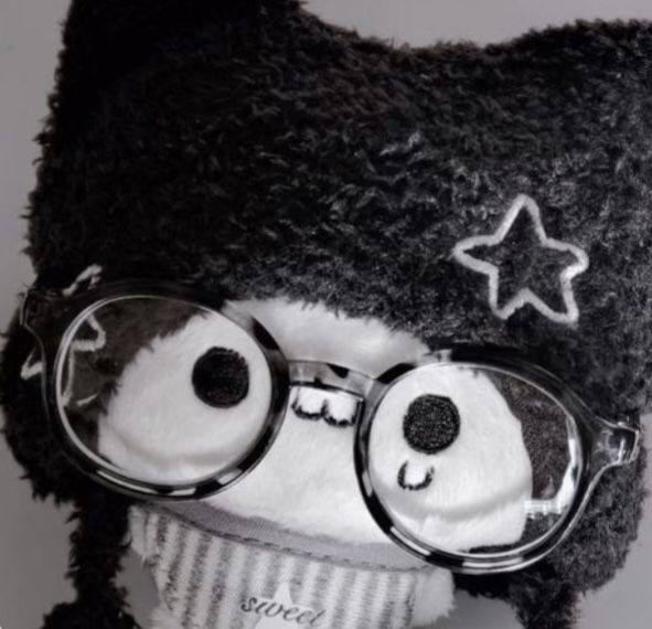 사후(세계..)🐈‍⬛ tweet media