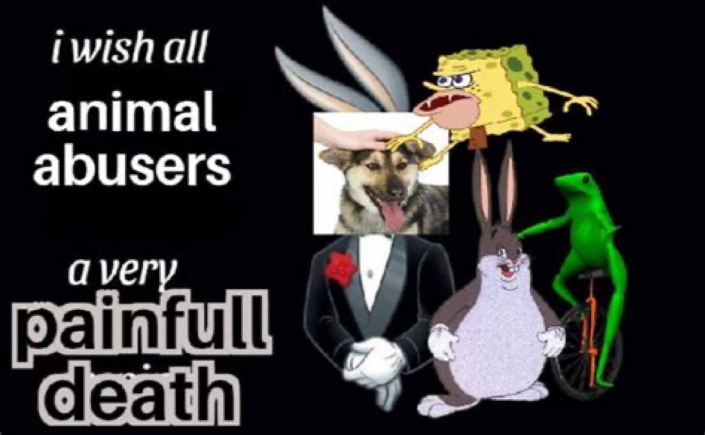 🏴‍☠️🏴‍☠️ tweet media