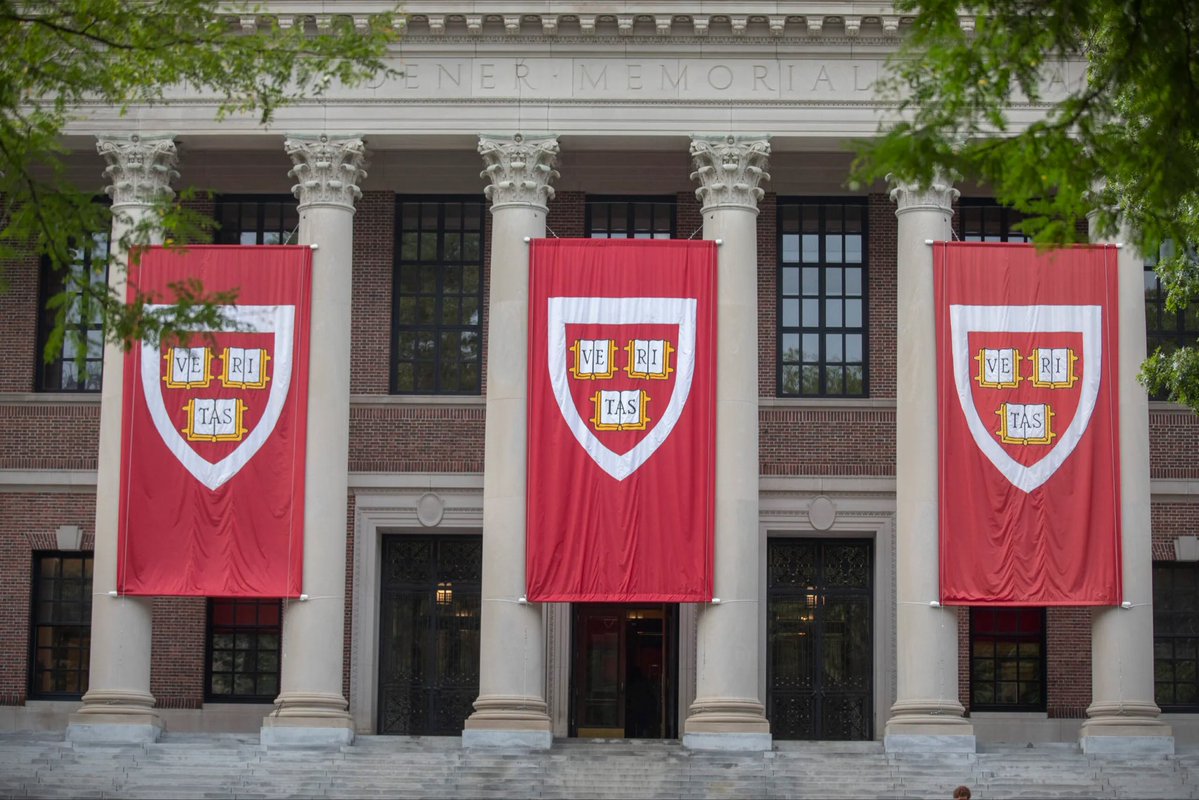 folkative tweet media