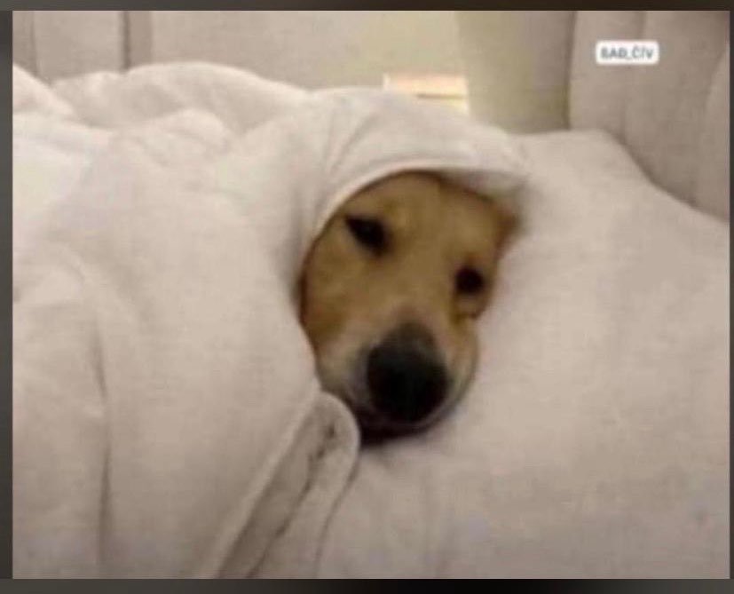 Moofall14 tweet media