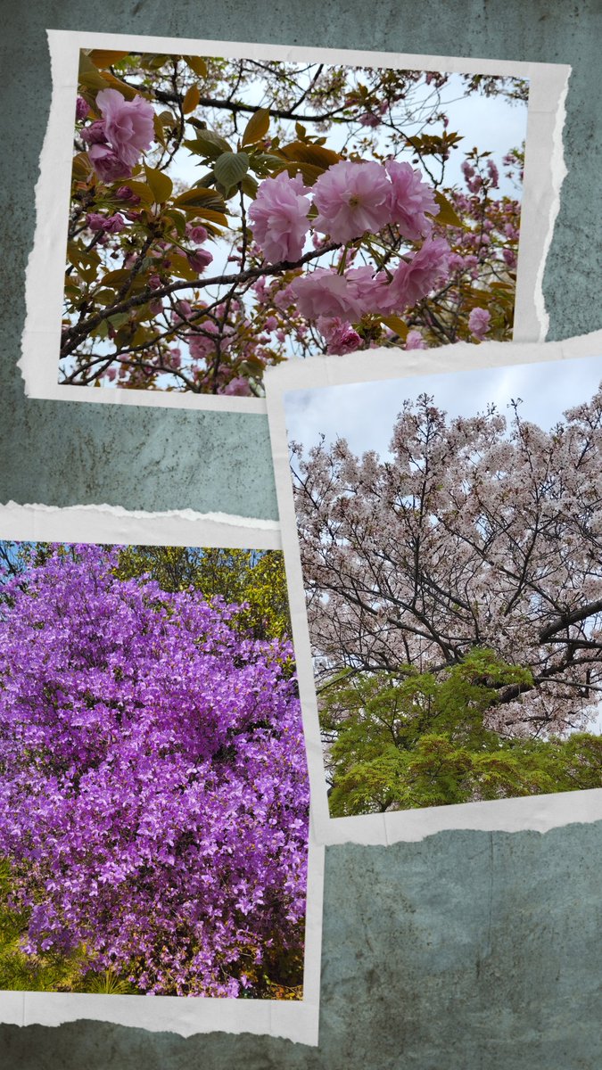 鳥かご🐦⛄The OE🐠🐋 tweet media