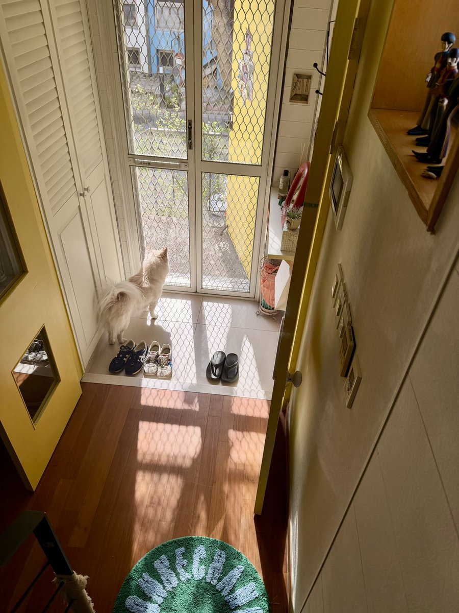 Jung Eunyoung tweet media