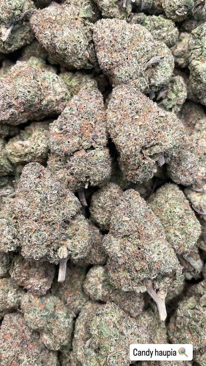 supremewayKD's tweet photo. It’s always in come treat ya lungs🫁⛽️ https://t.co/dsPq7kbQNj