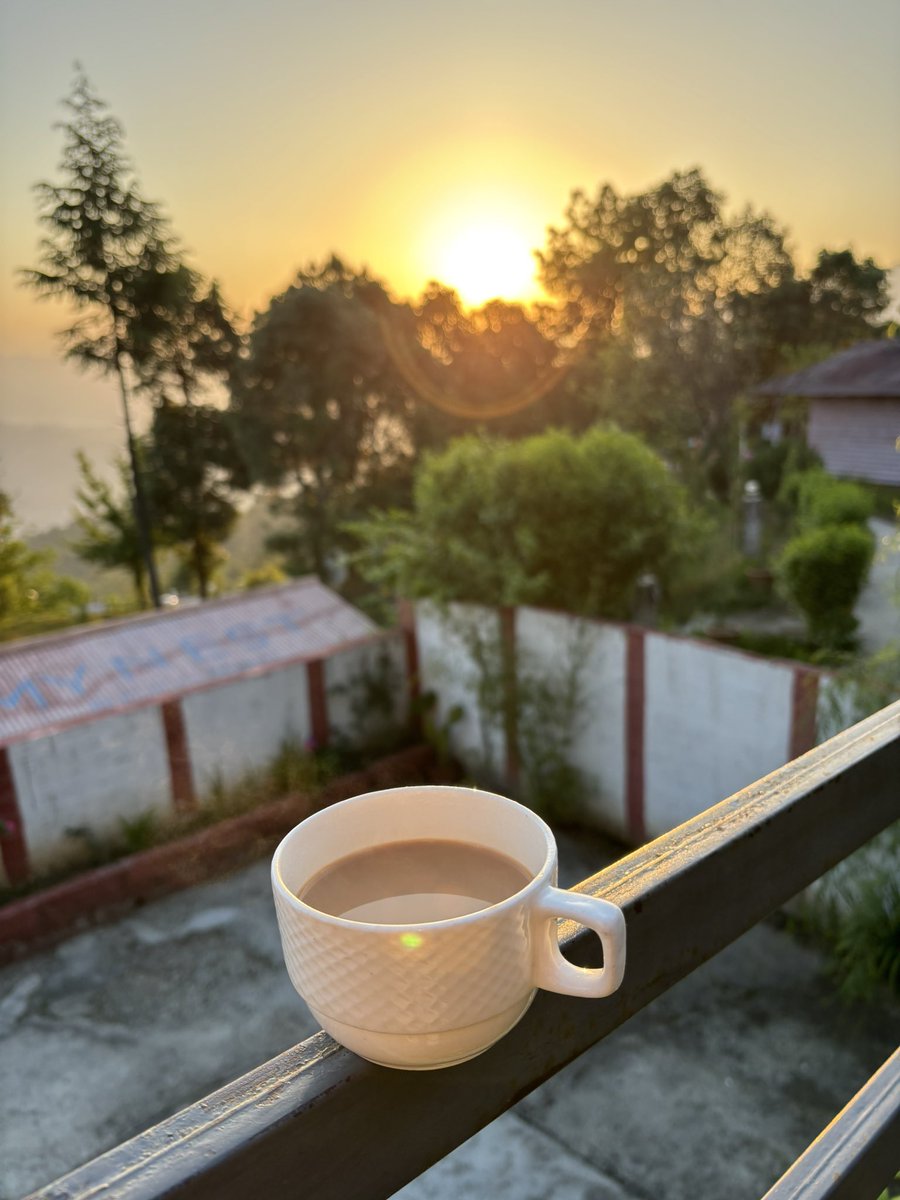 pargaien's tweet image. My cup of #tea, catching the early #morning rays and a glimpse of the #Himalayas.

#goodmorning 
#tuesdayvibes
#thicktrunktuesday