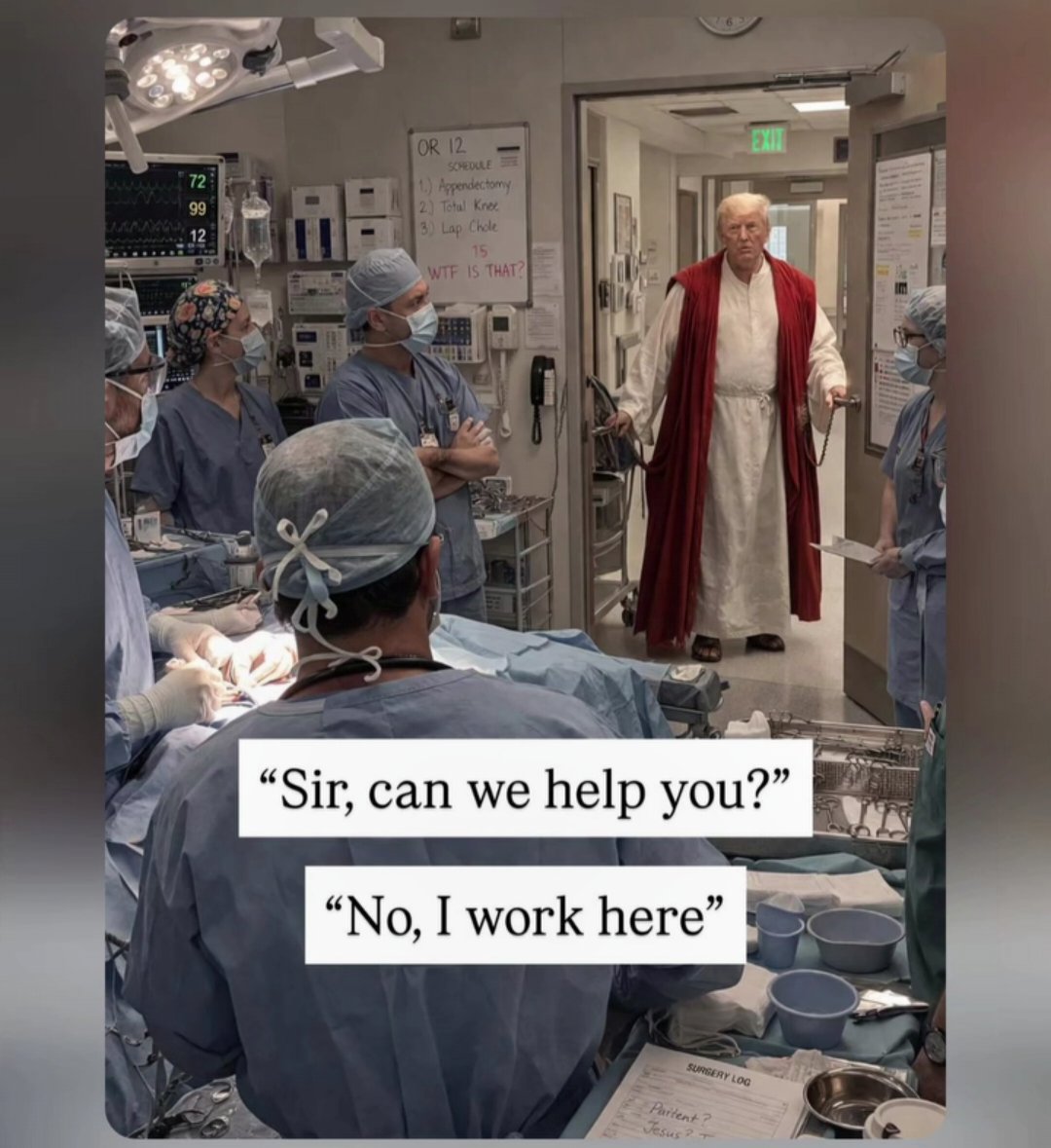 DDP ⏻ (@dogediamondpaws) on Twitter photo 