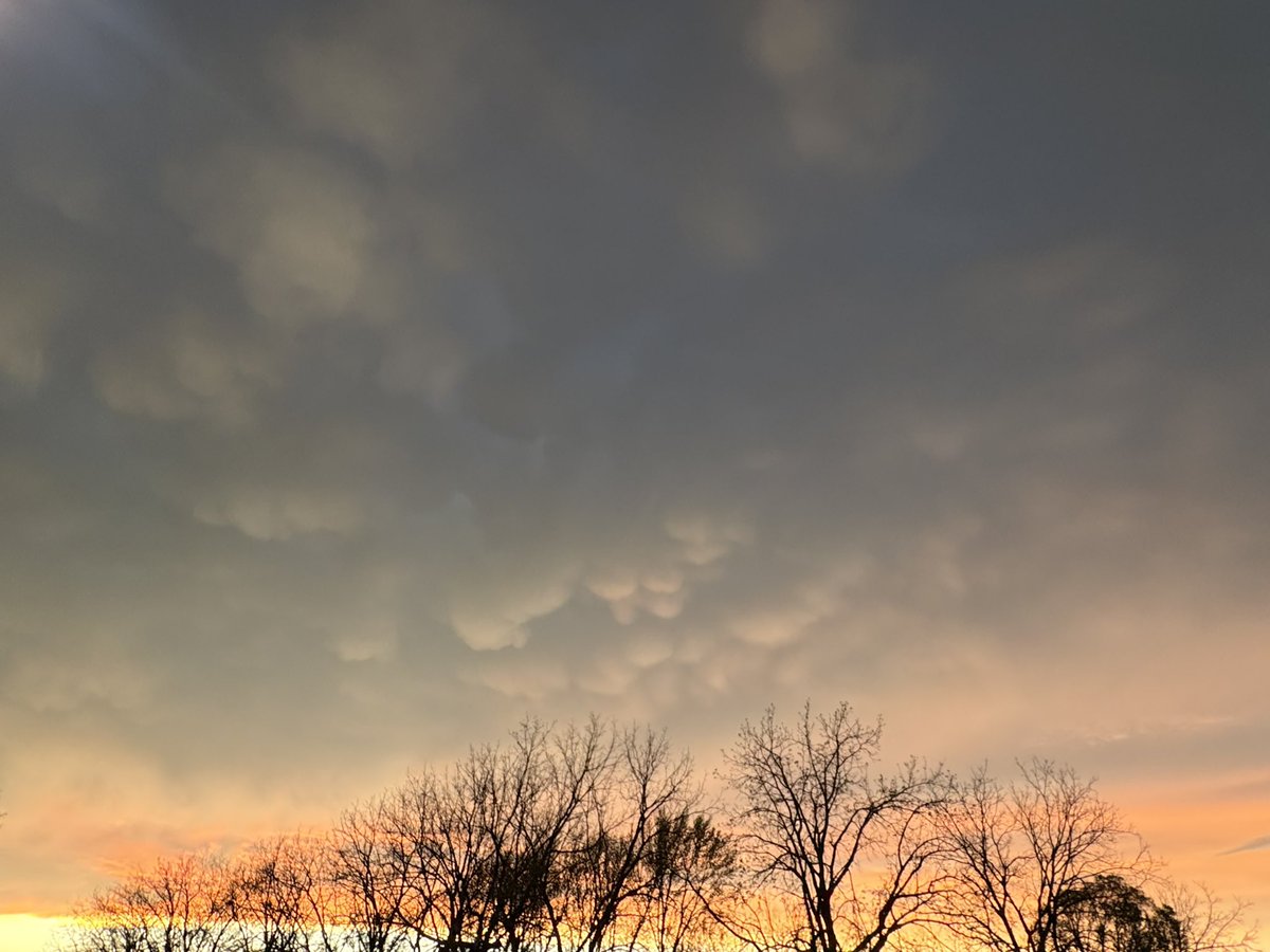 cwalteroverman's tweet photo. Some mammatus clouds in the Northland this evening. @JacobLanierWx #MOwx https://t.co/OMIvJz5ZDf