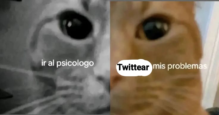 killdeidad tweet media