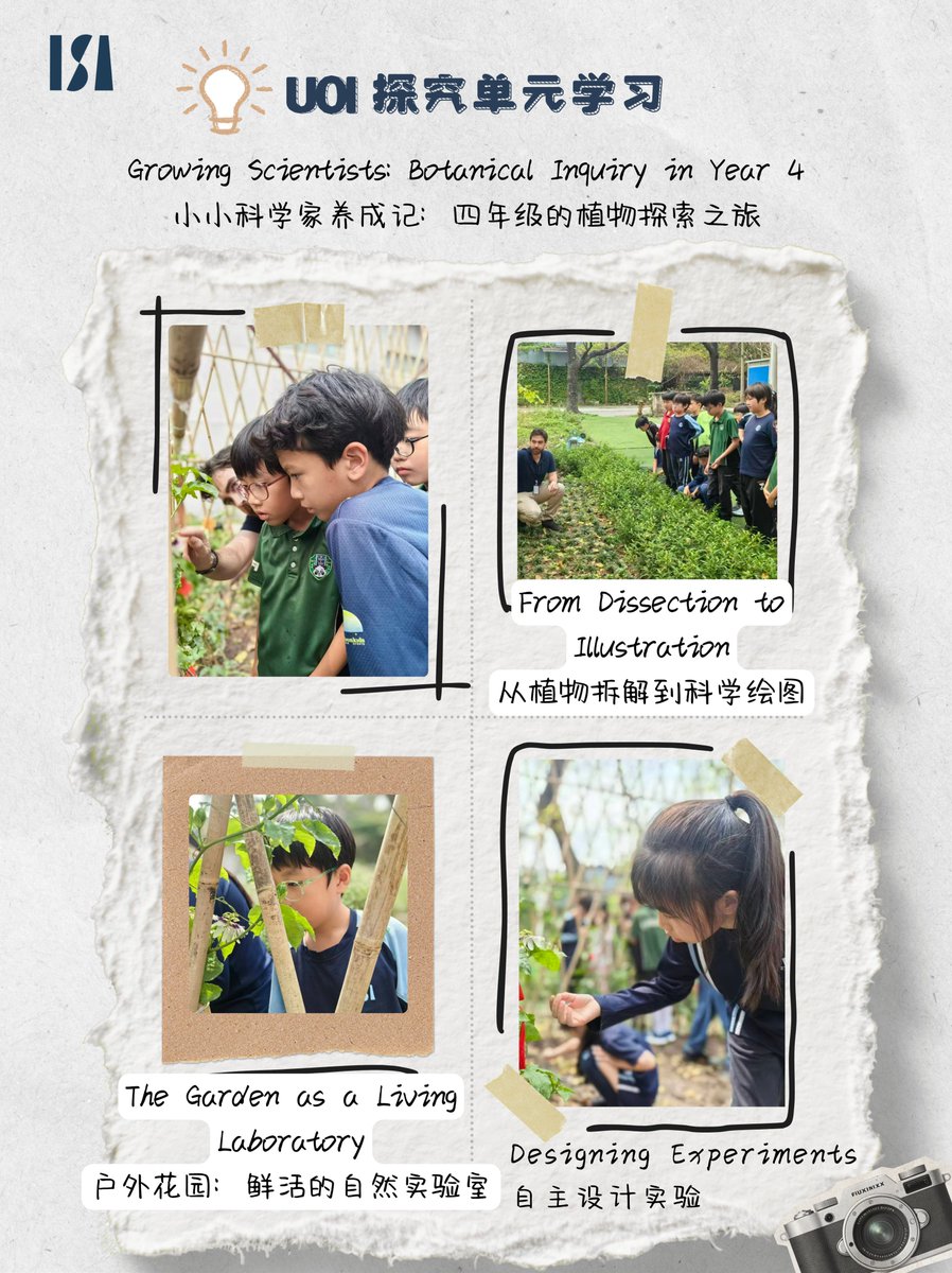 ITianhe's tweet image. ✨Unit of Inquiry (UOI) in the IB Primary Years Programme (PYP) is a student-centered approach. It aims to spark curiosity and develop an inquiry spirit through interdisciplinary exploration and real-world problem-solving.
#internationalschool #internationalbusiness #ib #uoi