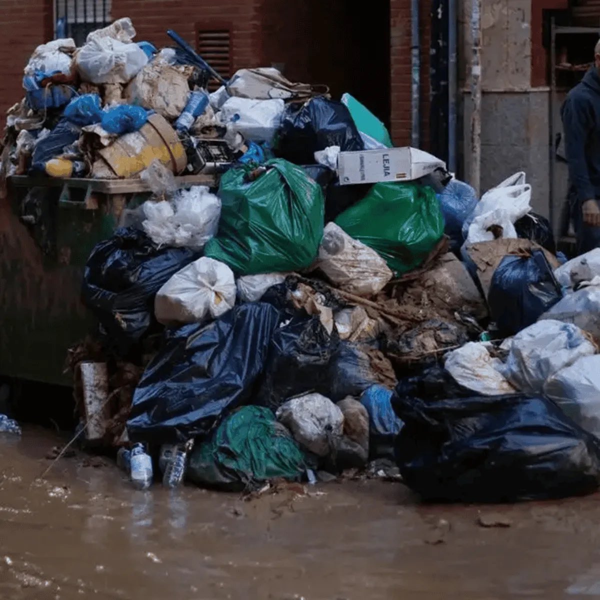 Loquenoseve tweet media