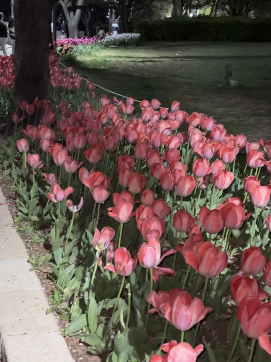 ㅈㄴ.. tweet media