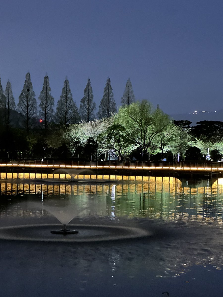 ㅈㄴ.. tweet media