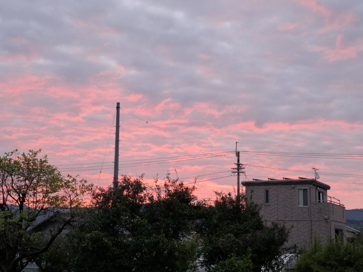 収@テリジノいいよね😌 tweet media