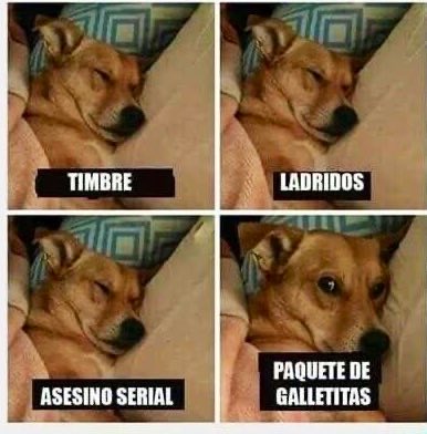 Mi perra 😂