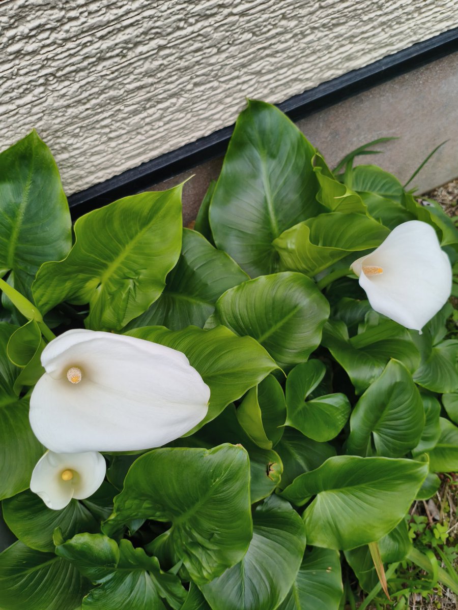 濱ちゃん🤣 tweet media