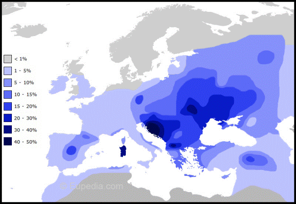Anuvaṃśikī tweet media
