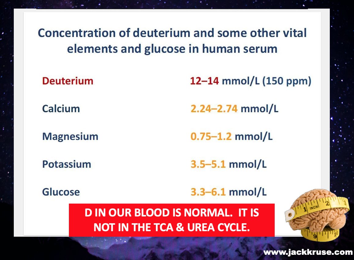 ☣️ Pleb Kruse = BTC foundationalist in exile 🟩🔆 tweet media