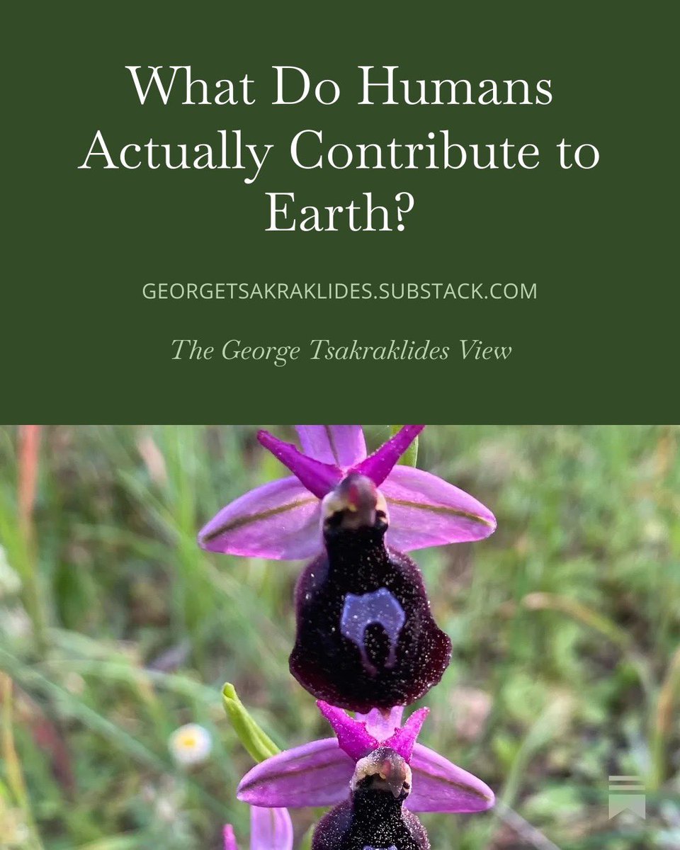 George Tsakraklides tweet media