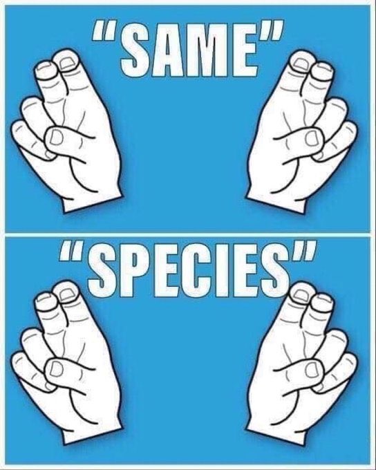 HolyRomanReich tweet media