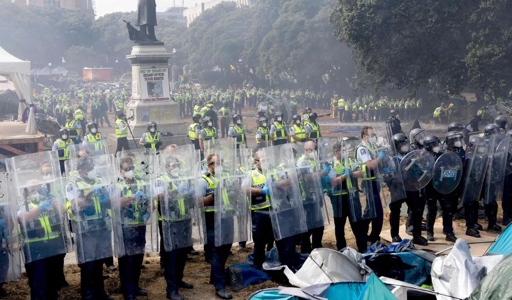 Napoleon Busch - for NEW ZEALAND. tweet media