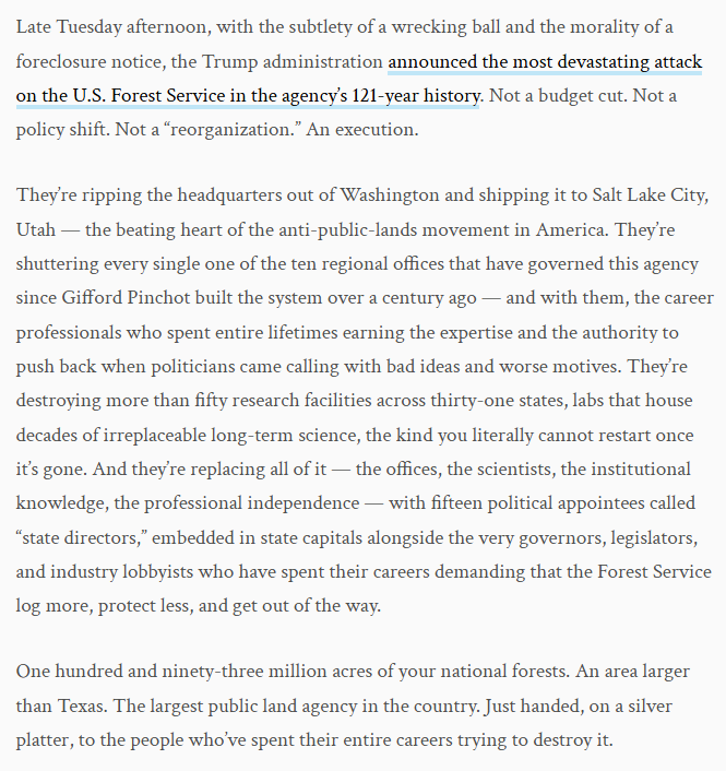 Nick Kapur tweet media