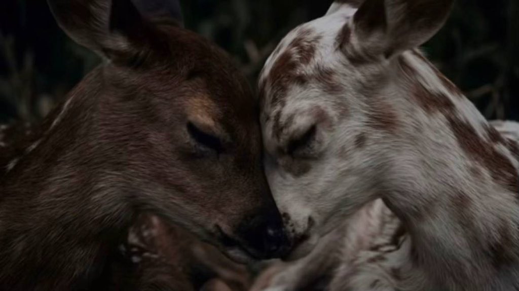 عبـادي tweet media