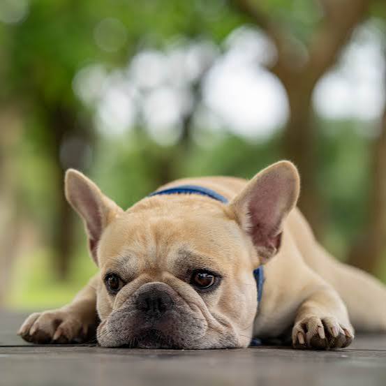 Vindicated Chidi 🕊 tweet media