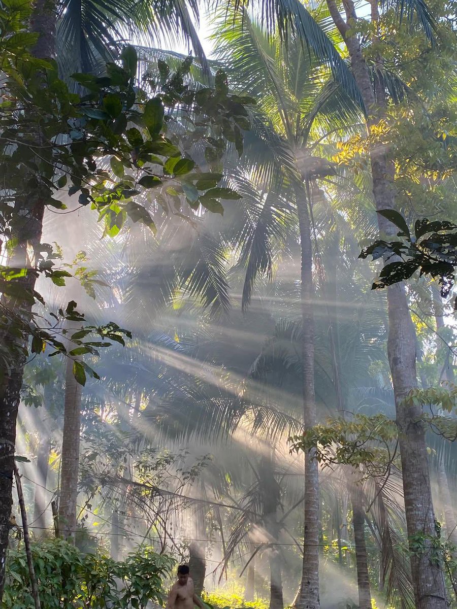 الحياة والفن tweet media