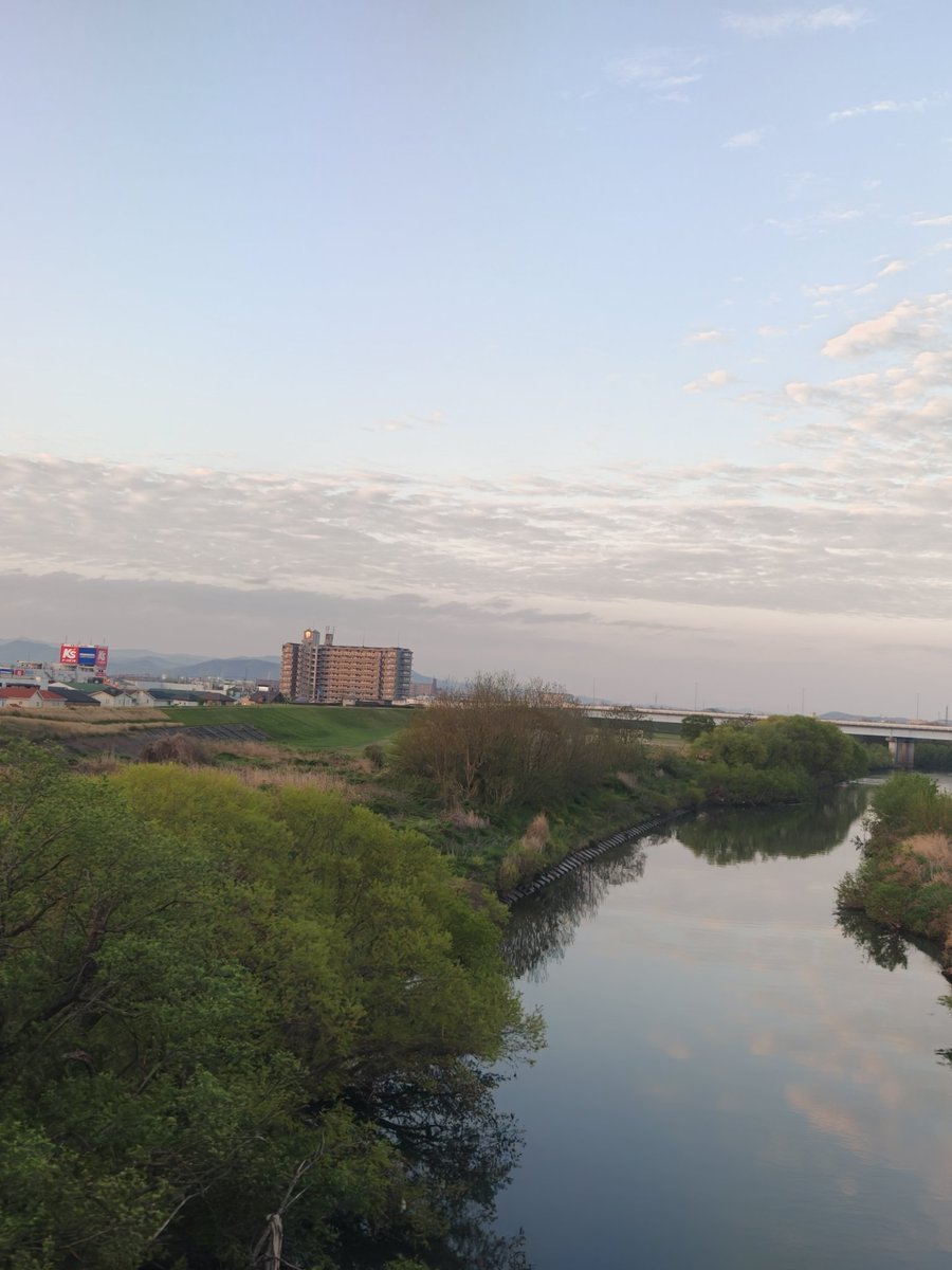 totochan tweet media