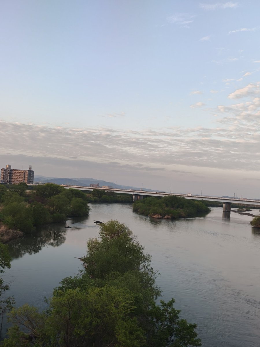 totochan tweet media