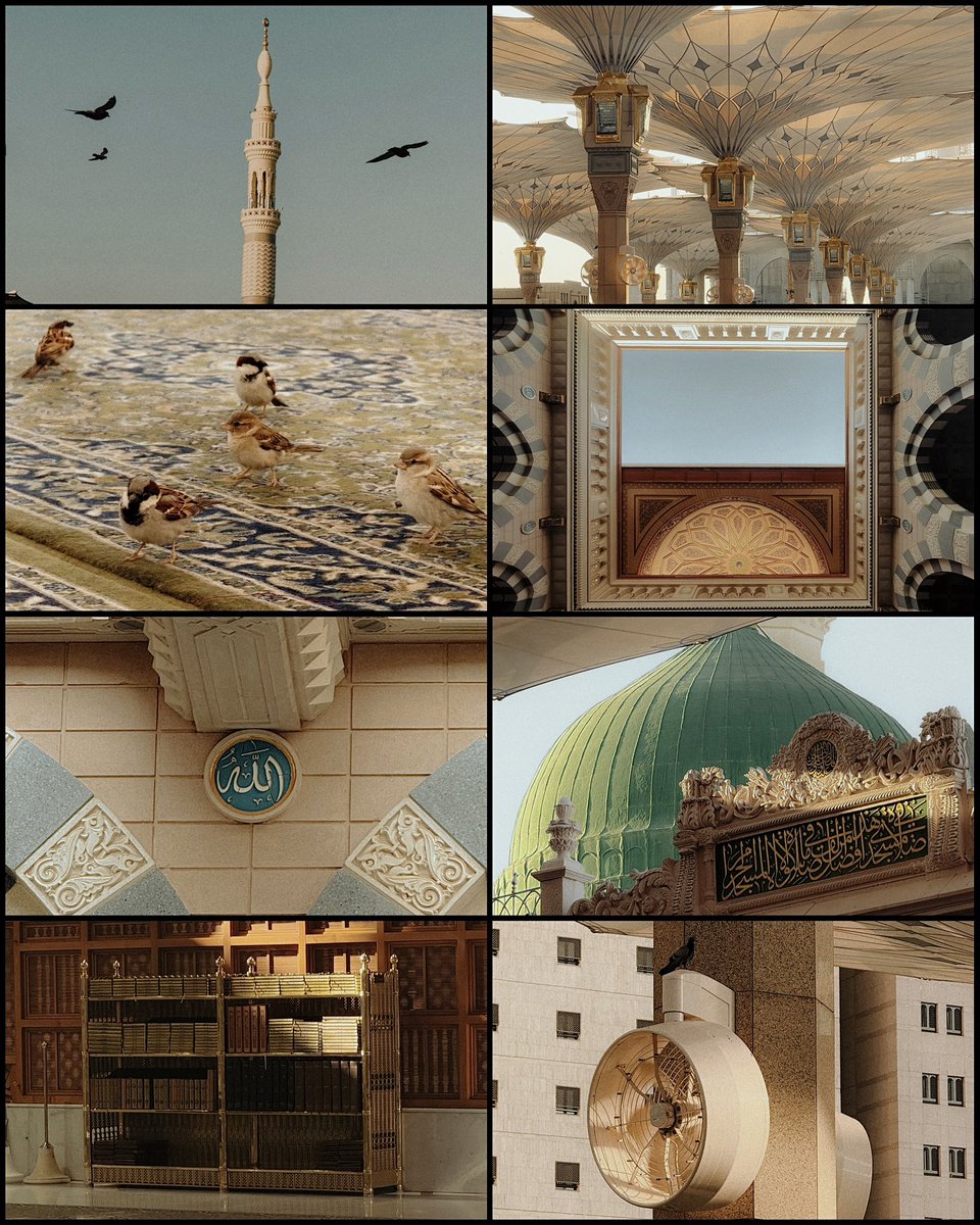 shxi3i's tweet photo. Madinah 🤎 https://t.co/JgmueFoRUF