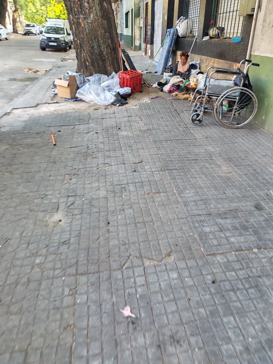 #TriatletaAmateur 🏊🏼‍♂️🚴🏼‍♂️🏃🏼‍♂️ tweet media