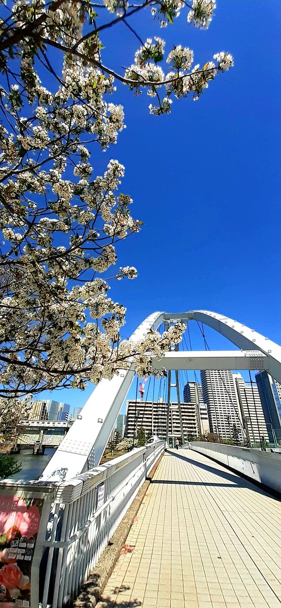 Zaji＠ザジ tweet media