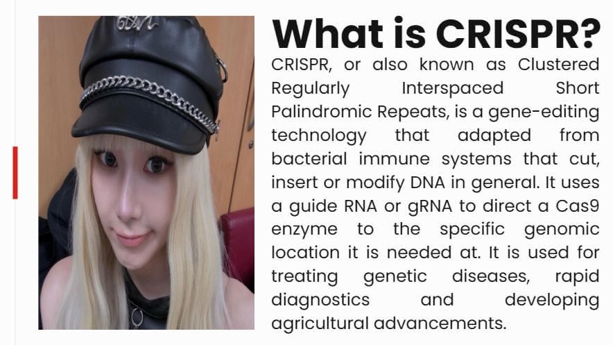 primo 🫂 tweet media