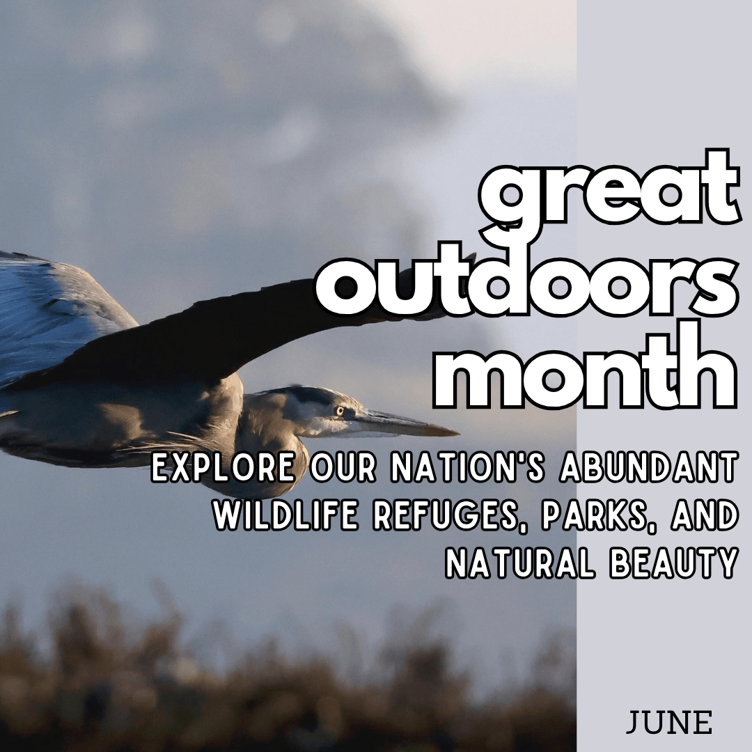 CelebrateNDC's tweet photo. Tomorrow, June 5: Explore!
#NationalDayCalendar #CelebrateEveryDay #CelebrationNation https://t.co/2qhVPtUndR