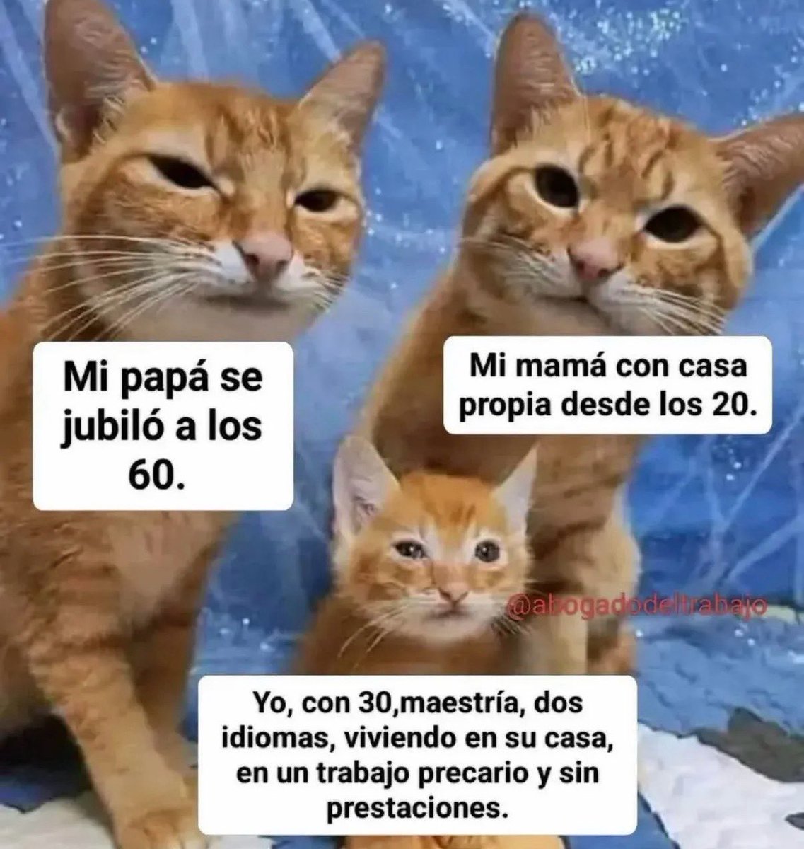 Señora Católica tweet media