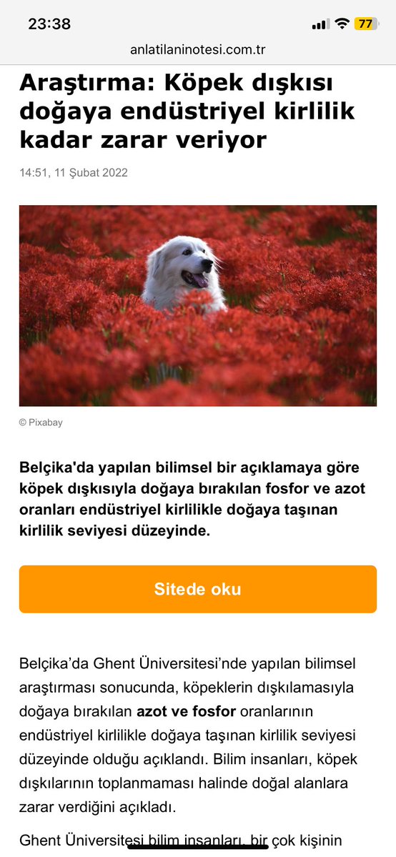 Ersin KARA⚡ tweet media