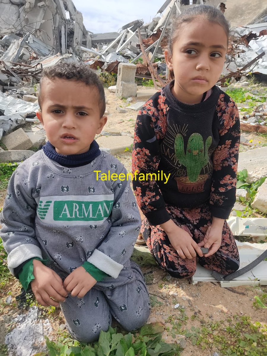 Taleen Family 🍉 tweet media