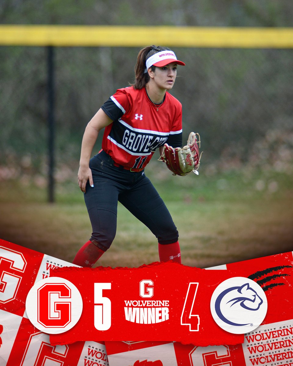 Grove City College Athletics tweet media