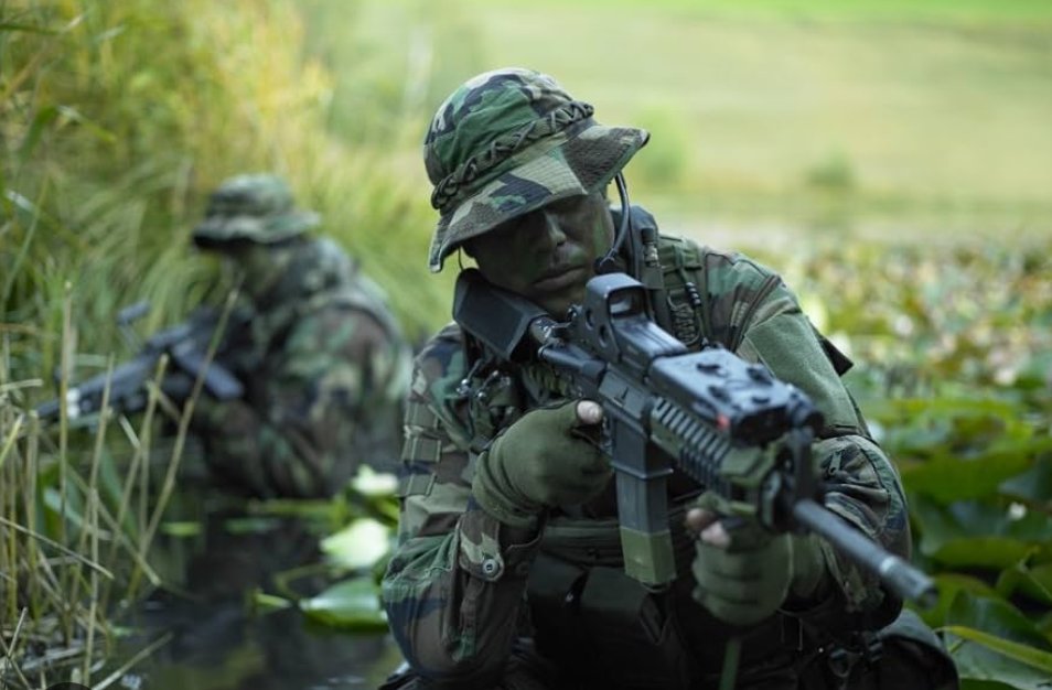 Flyfisher tweet media