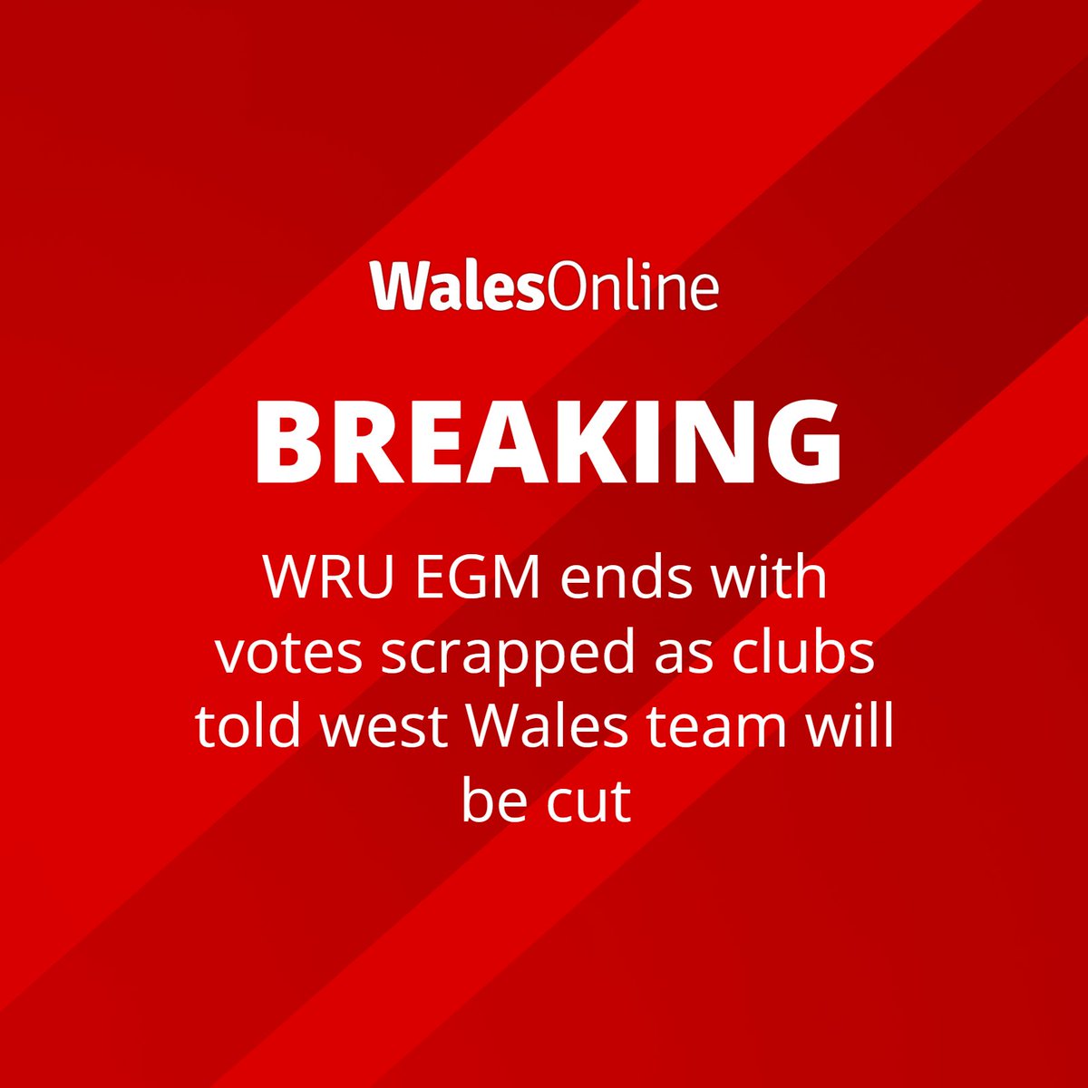 WalesOnline Rugby tweet media