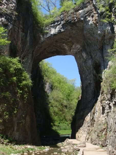 Doug Schneeberg tweet media