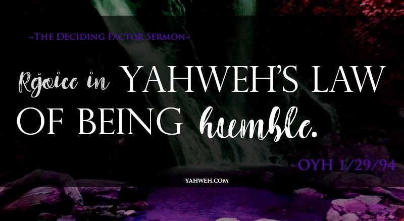 The House of Yahweh tweet media