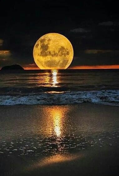 PaulAck25295466's tweet photo. #moonsea
Gute Nacht https://t.co/kZVM7a0Lj2