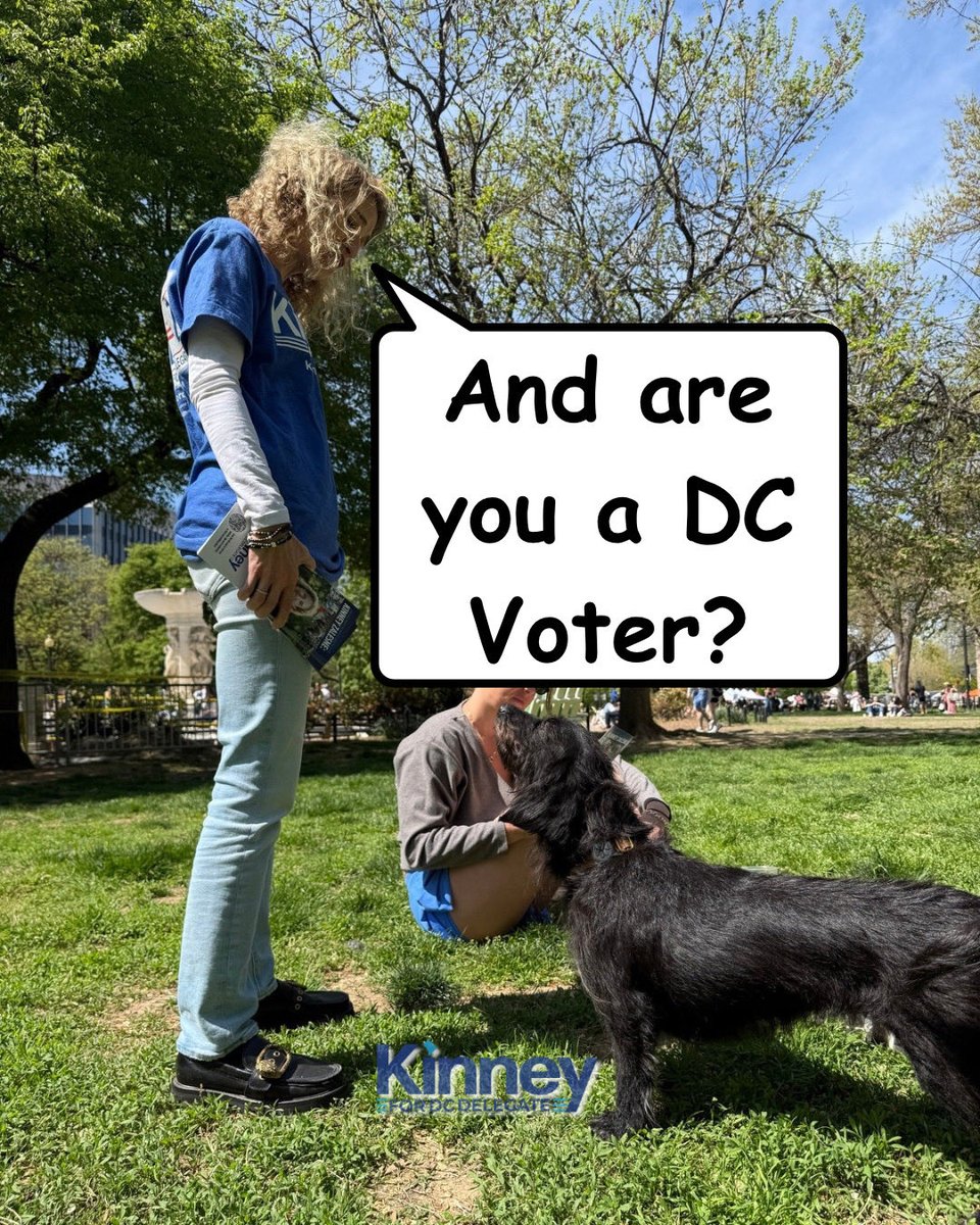 Kinney Zalesne tweet media