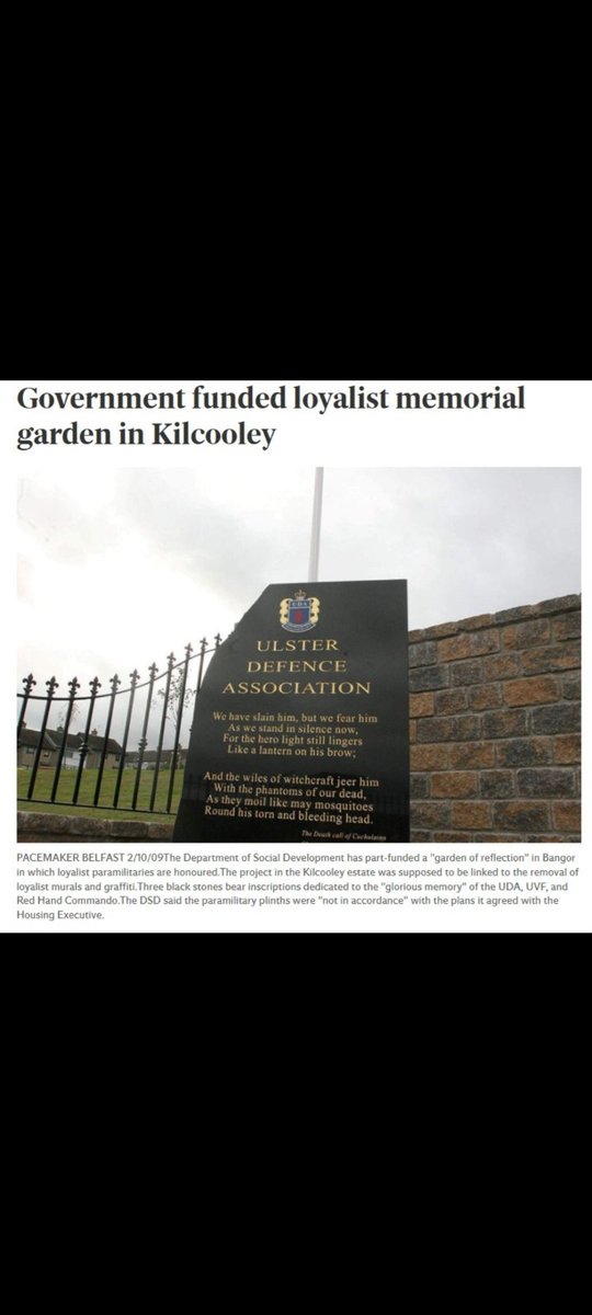 Pedro the 4th tweet media