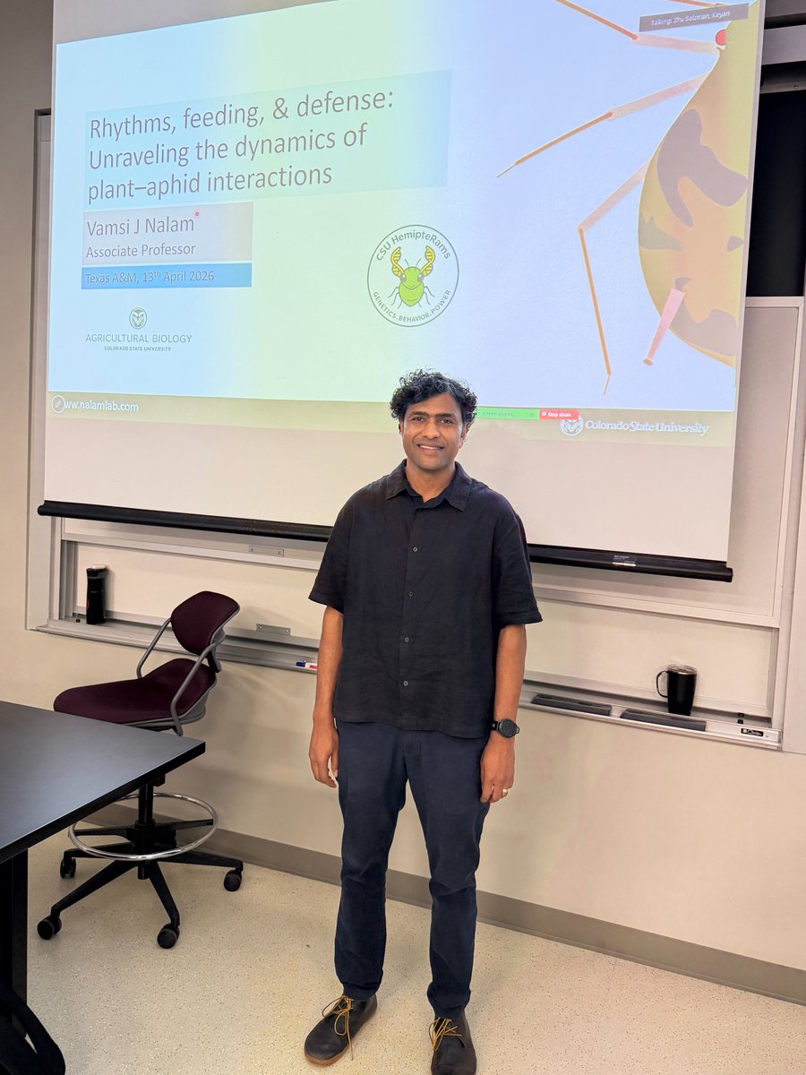 tamuentomology's tweet photo. Dr. Vamsi Nalam, an associate professor in the Department of Agricultural Biology at Colorado State University, is today's seminar speaker!
He's presenting, "Rhythms, feeding and defense: Unraveling the dynamics of plant-aphid interactions."
#TAMUBugs https://t.co/VO1wukXBjw