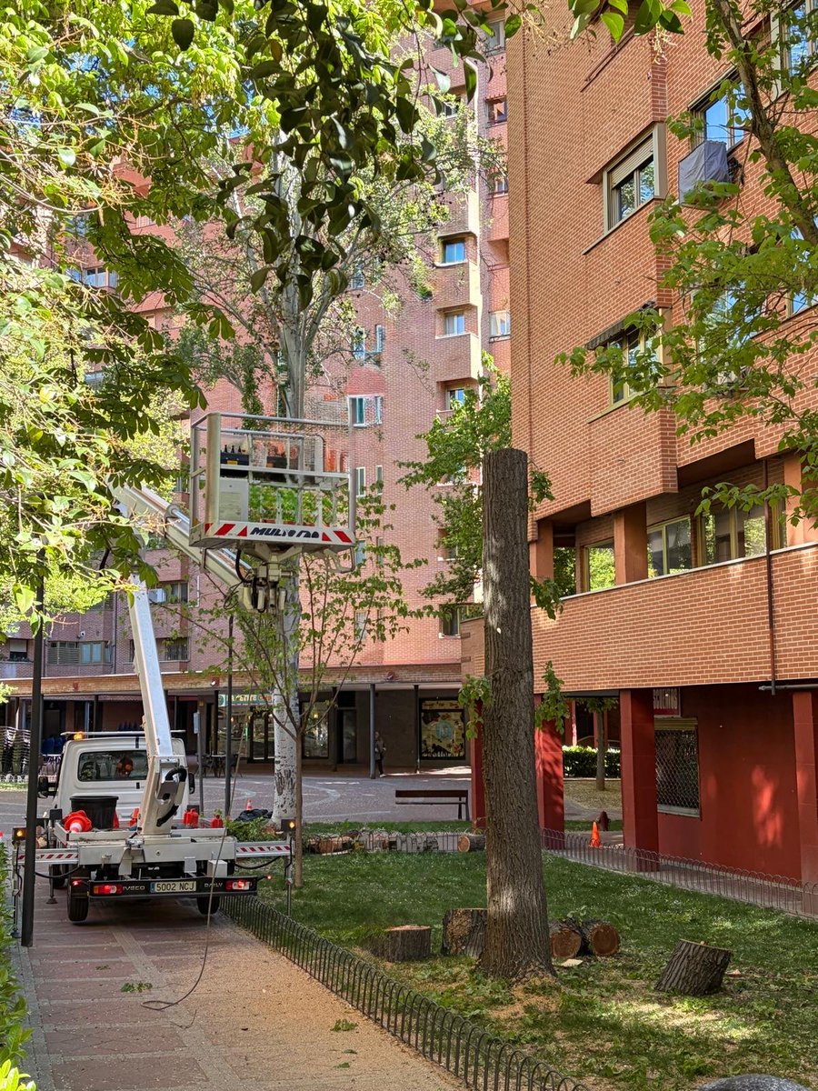 Tricantino Enfurecido tweet media