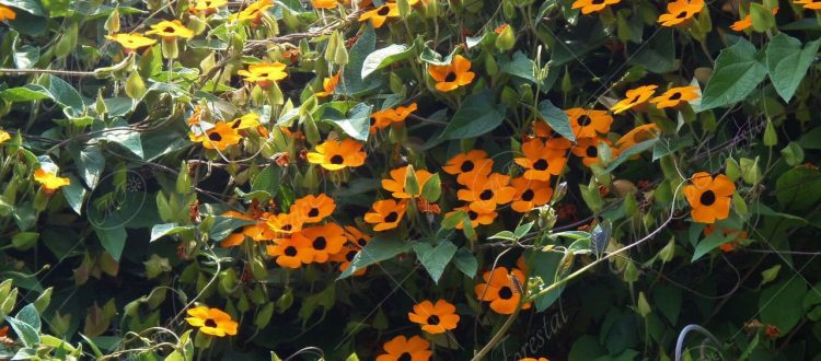 Emma 🔻🏳️‍🌈 tweet media