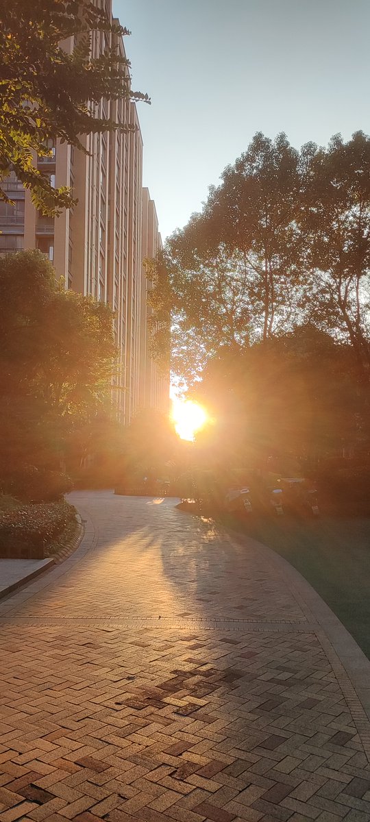 Celes123 tweet media